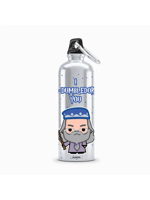 Harry Potter Albus Dumbledore Sipper Bottle