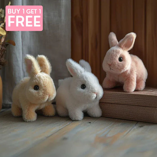 Robot Rabbit Toy