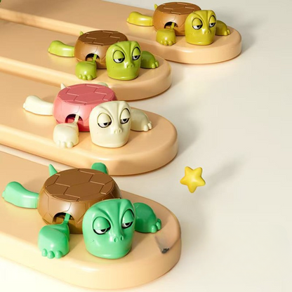 Turtle Coaster (Pack Of 2)